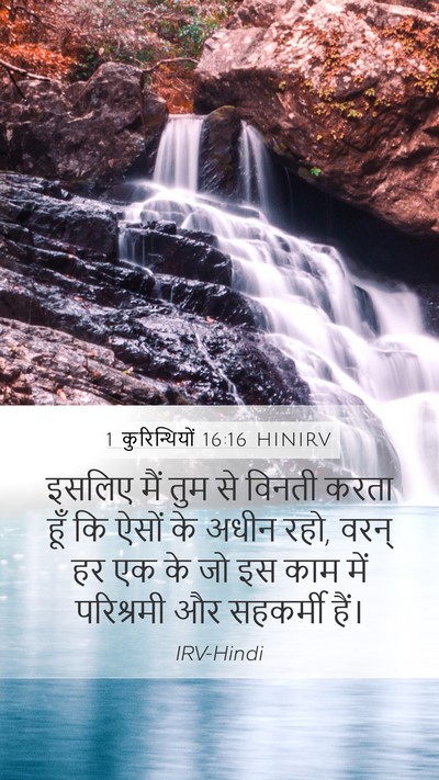 1 कुरिन्थियों 16:16 HINIRV Bible Verse Image