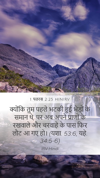 1 पतरस 2:25 HINIRV Bible Verse Image
