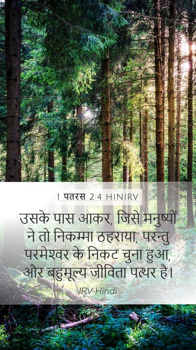 1 पतरस 2:4 HINIRV Bible Verse Image