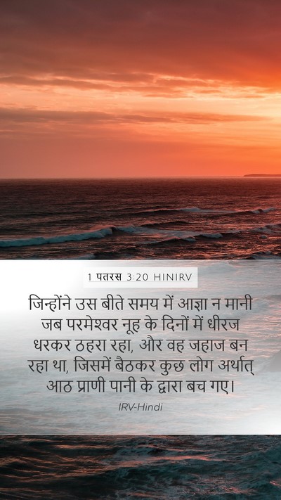 1 पतरस 3:20 HINIRV Bible Verse Image
