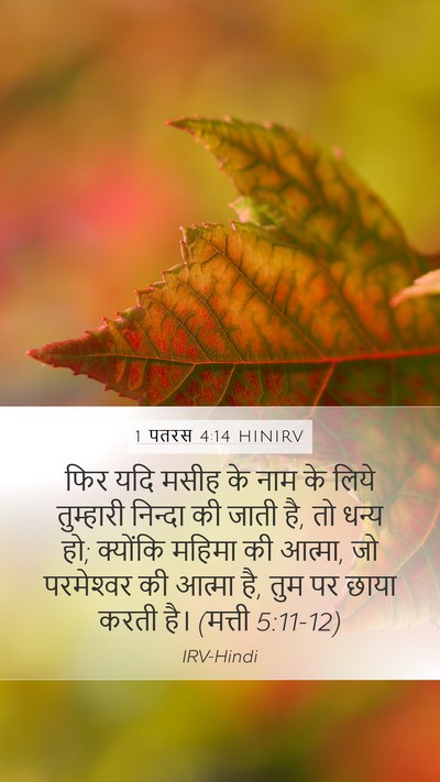 1 पतरस 4:14 HINIRV Bible Verse Image
