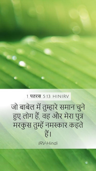 1 पतरस 5:13 HINIRV Mobile Phone Wallpaper - जो बाबेल में - Mobile Bible Verse Wallpaper