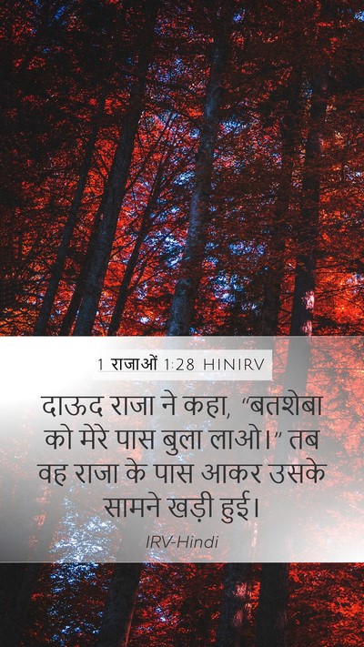 1 राजाओं 1:28 HINIRV Mobile Phone Wallpaper - दाऊद राजा ने कहा, - Mobile Bible Verse Wallpaper