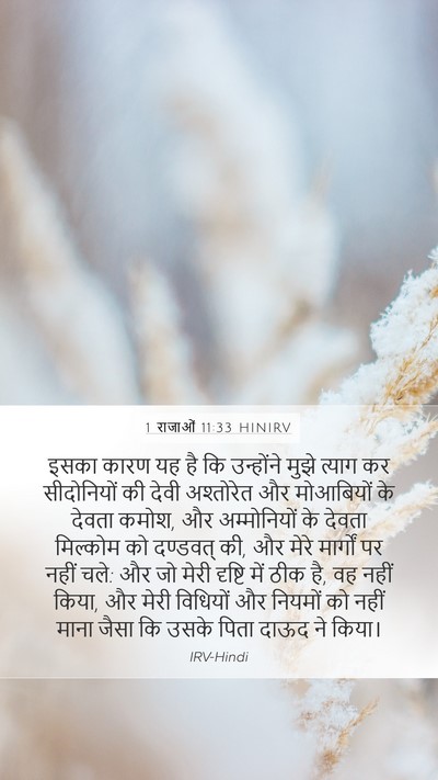 1 राजाओं 11:33 HINIRV Bible Verse Image