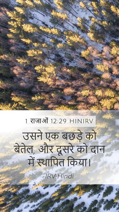 1 राजाओं 12:29 HINIRV Bible Verse Image