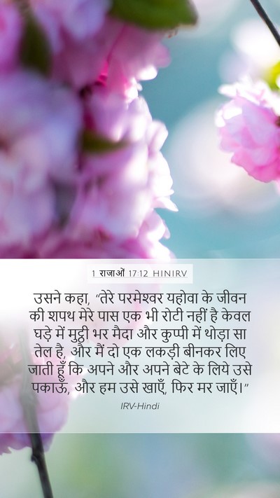 1 राजाओं 17:12 HINIRV Bible Verse Image