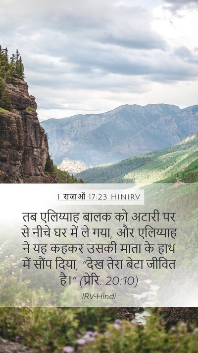 1 राजाओं 17:23 HINIRV Bible Verse Image