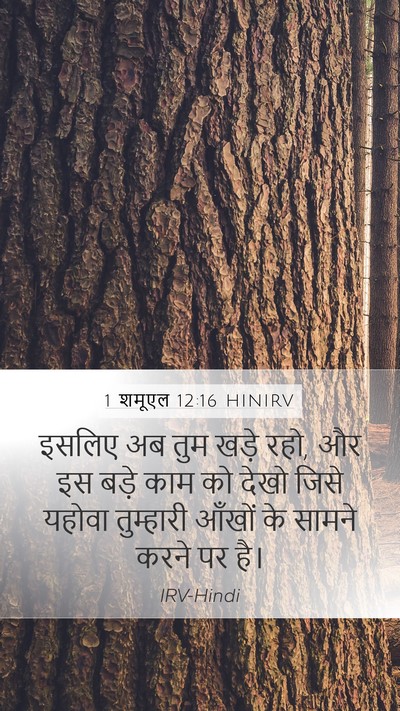 1 शमूएल 12:16 HINIRV Bible Verse Image