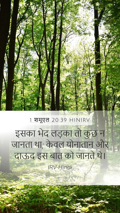 1 शमूएल 20:39 HINIRV Mobile Phone Wallpaper - इसका भेद लड़का तो - Mobile Bible Verse Wallpaper