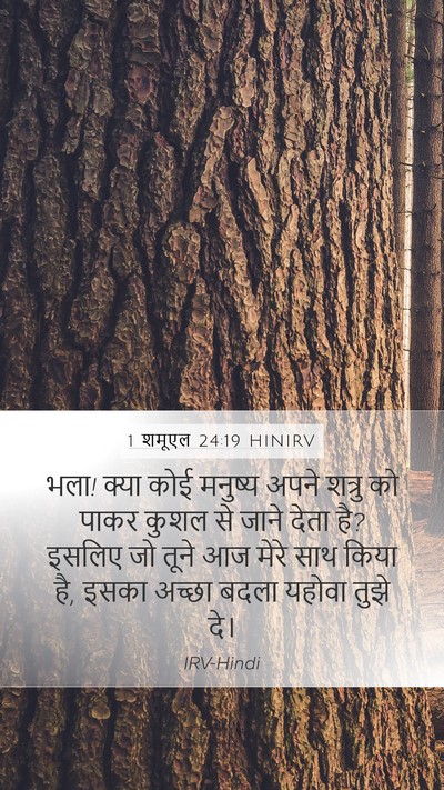 1 शमूएल 24:19 HINIRV Bible Verse Image