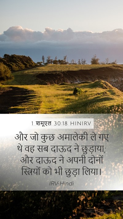 1 शमूएल 30:18 HINIRV Bible Verse Image