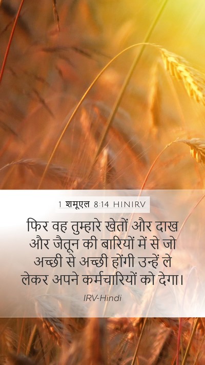 1 शमूएल 8:14 HINIRV Bible Verse Image
