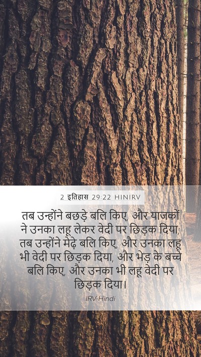 2 इतिहास 29:22 HINIRV Bible Verse Image