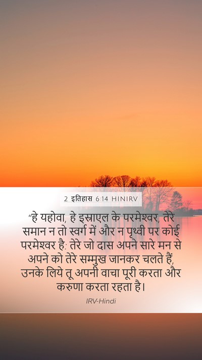 2 इतिहास 6:14 HINIRV Bible Verse Image