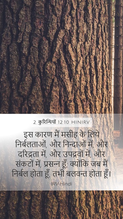 2 कुरिन्थियों 12:10 HINIRV Mobile Phone Wallpaper - इस कारण मैं मसीह के - Mobile Bible Verse Wallpaper
