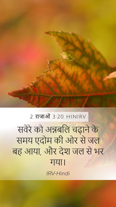2 राजाओं 3:20 HINIRV Mobile Phone Wallpaper - सवेरे को अन्नबलि - Mobile Bible Verse Wallpaper