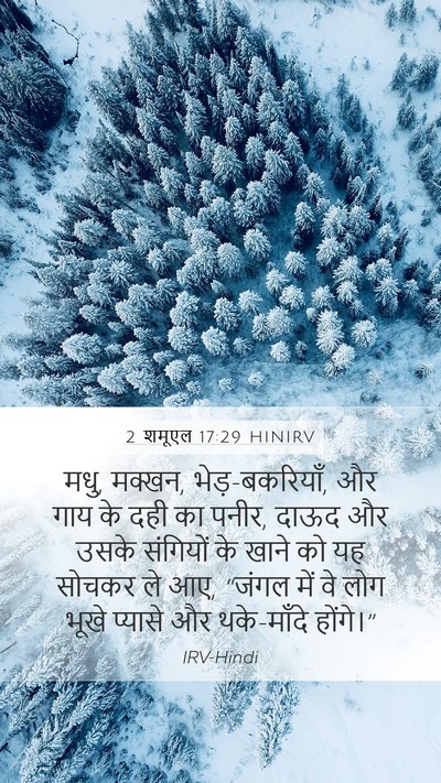 2 शमूएल 17:29 HINIRV Bible Verse Image