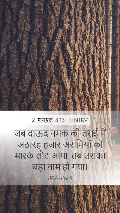2 शमूएल 8:13 HINIRV Bible Verse Image