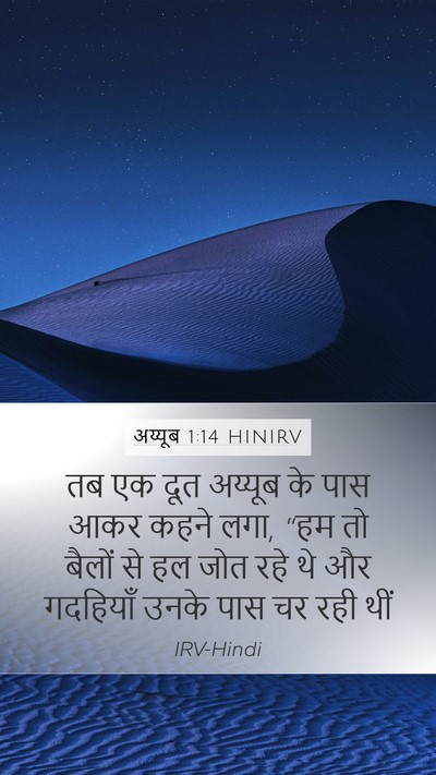 अय्यूब 1:14 HINIRV Bible Verse Image