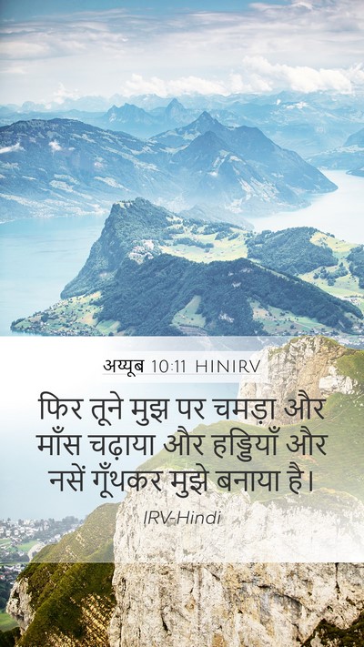 अय्यूब 10:11 HINIRV Mobile Phone Wallpaper - फिर तूने मुझ पर - Mobile Bible Verse Wallpaper