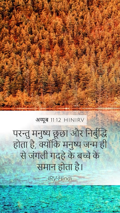 अय्यूब 11:12 HINIRV Bible Verse Image