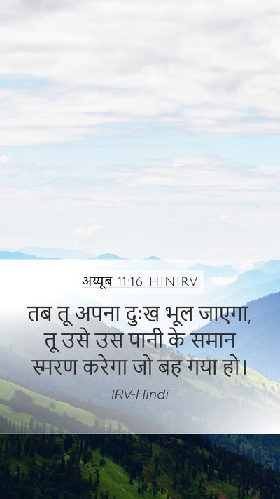 अय्यूब 11:16 HINIRV Mobile Phone Wallpaper - तब तू अपना दुःख भूल - Mobile Bible Verse Wallpaper