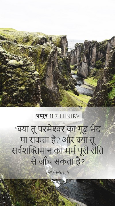 अय्यूब 11:7 HINIRV Bible Verse Image