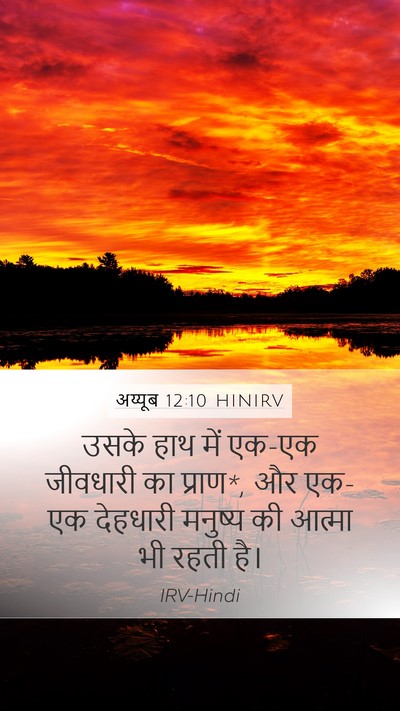 अय्यूब 12:10 HINIRV Bible Verse Image