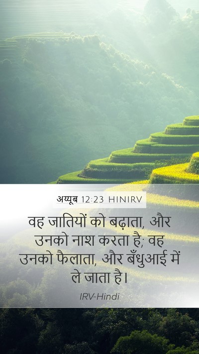 अय्यूब 12:23 HINIRV Bible Verse Image