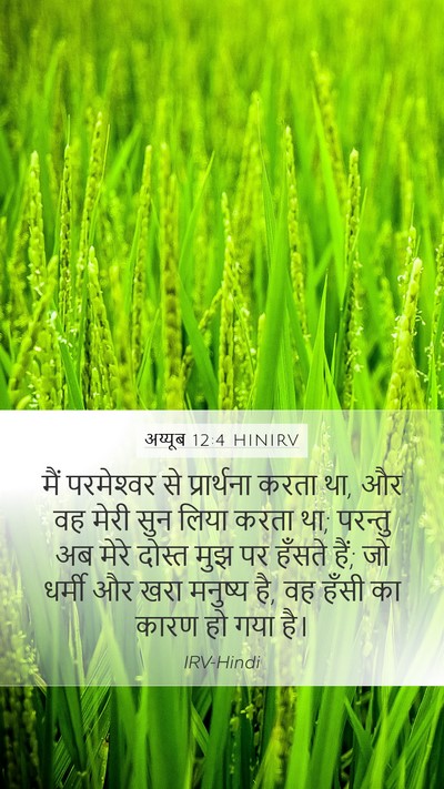 अय्यूब 12:4 HINIRV Bible Verse Image