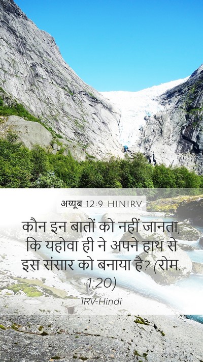 अय्यूब 12:9 HINIRV Bible Verse Image