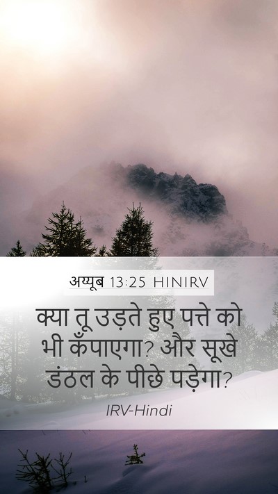 अय्यूब 13:25 HINIRV Bible Verse Image