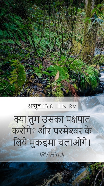 अय्यूब 13:8 HINIRV Mobile Phone Wallpaper - क्या तुम उसका - Mobile Bible Verse Wallpaper