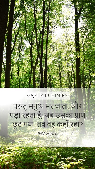 अय्यूब 14:10 HINIRV Bible Verse Image