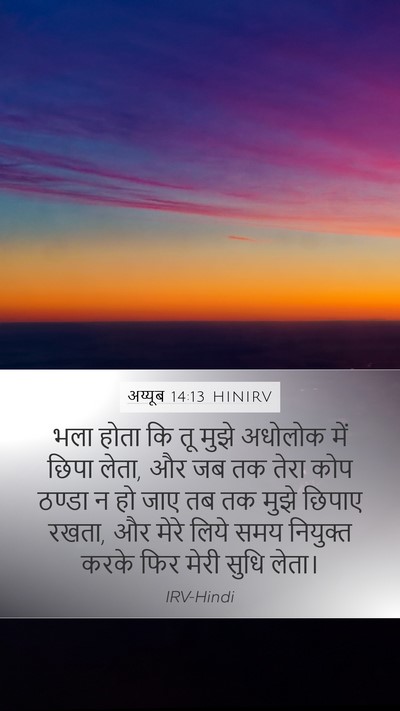 अय्यूब 14:13 HINIRV Bible Verse Image