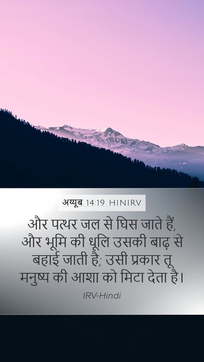अय्यूब 14:19 HINIRV Bible Verse Image