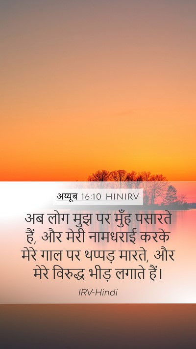 अय्यूब 16:10 HINIRV Bible Verse Image