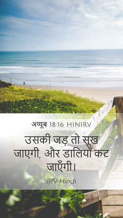 अय्यूब 18:16 HINIRV Bible Verse Image