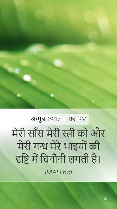 अय्यूब 19:17 HINIRV Bible Verse Image