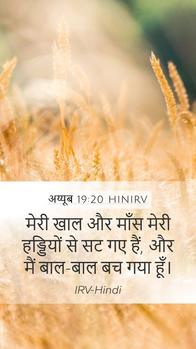 अय्यूब 19:20 HINIRV Bible Verse Image