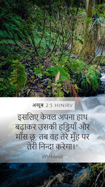 अय्यूब 2:5 HINIRV Bible Verse Image