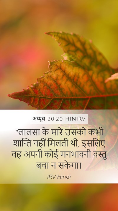 अय्यूब 20:20 HINIRV Bible Verse Image