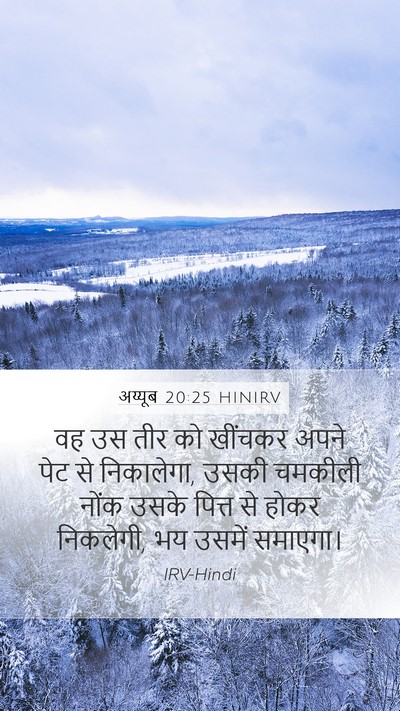अय्यूब 20:25 HINIRV Bible Verse Image