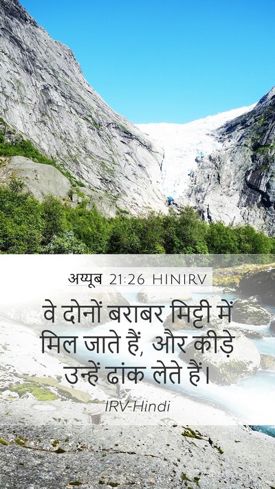 अय्यूब 21:26 HINIRV Mobile Phone Wallpaper - वे दोनों बराबर - Mobile Bible Verse Wallpaper