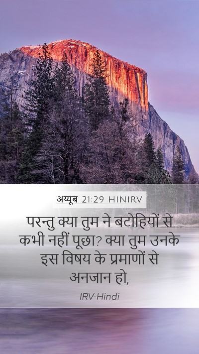 अय्यूब 21:29 HINIRV Bible Verse Image