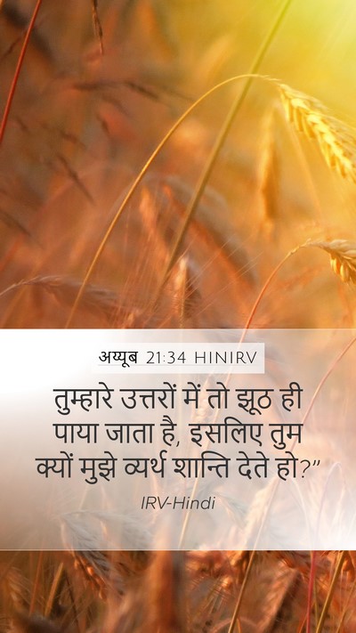 अय्यूब 21:34 HINIRV Bible Verse Image