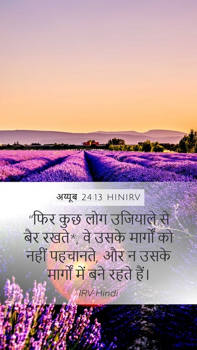 अय्यूब 24:13 HINIRV Bible Verse Image