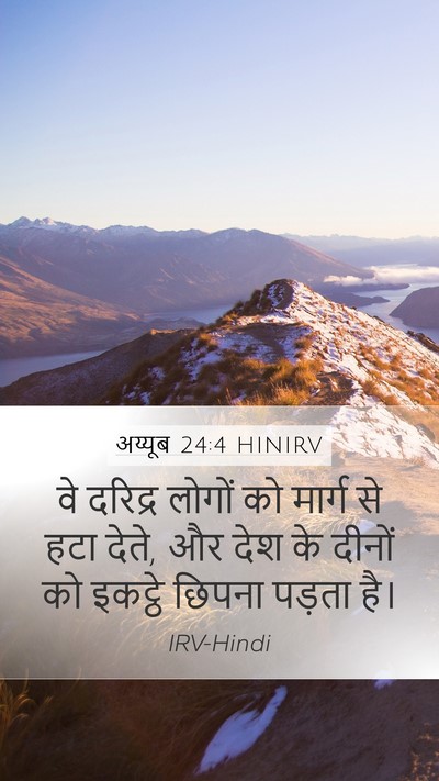 अय्यूब 24:4 HINIRV Bible Verse Image