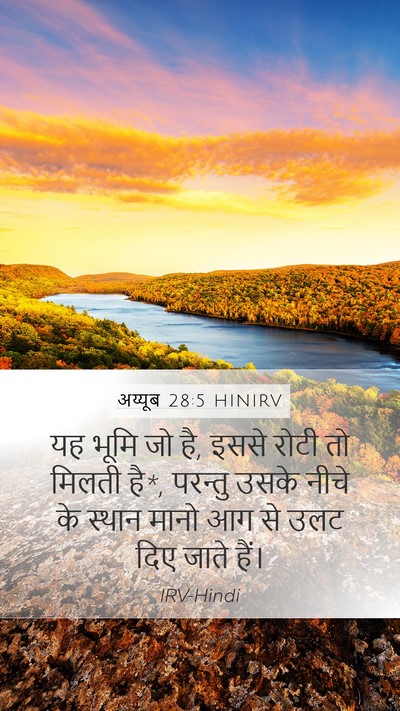 अय्यूब 28:5 HINIRV Bible Verse Image