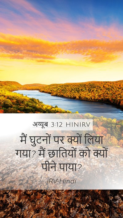 अय्यूब 3:12 HINIRV Bible Verse Image